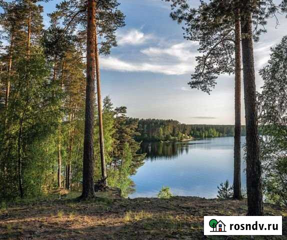 Участок ИЖС 20 сот. на продажу в Зеленогорске Ленинградской области Зеленогорск - изображение 1
