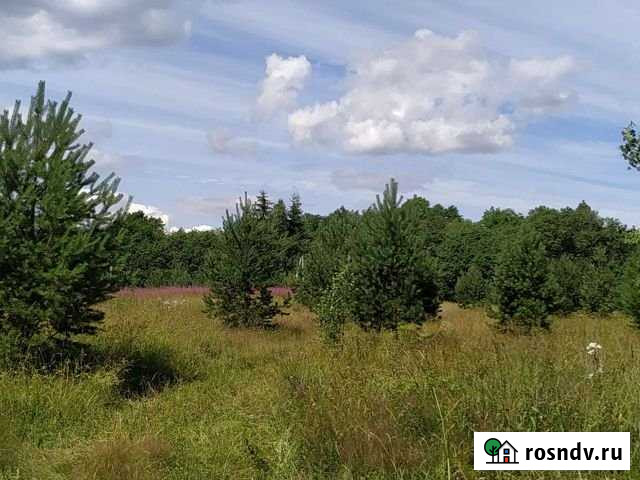 Участок ИЖС 15 сот. на продажу в Осташкове Осташков - изображение 1