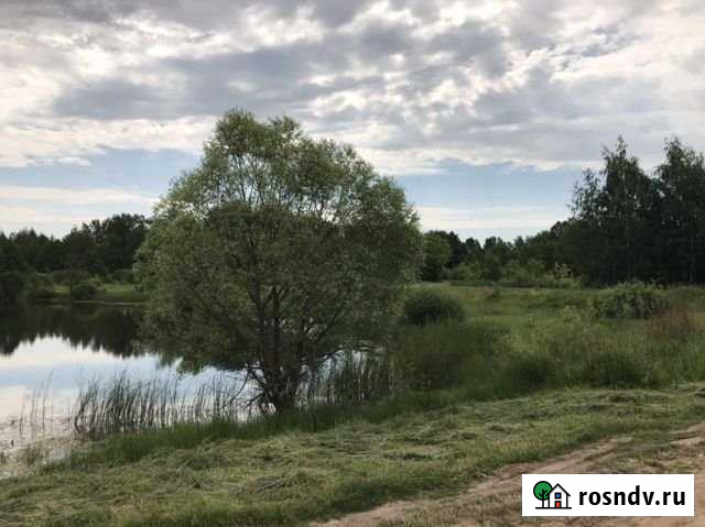 Участок ИЖС 10 сот. на продажу в Васильево Васильево - изображение 1