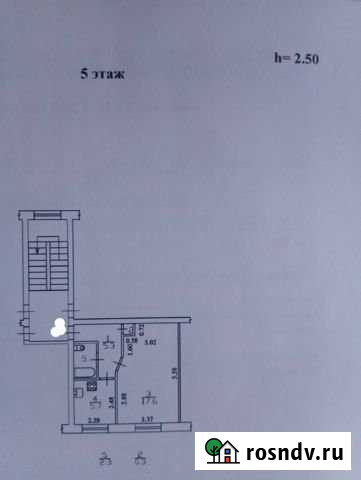 1-комнатная квартира, 31 м², 5/5 эт. на продажу в Пушкине Пушкин - изображение 1
