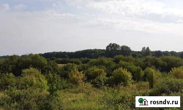 Участок СНТ, ДНП 135 сот. на продажу в Безенчуке Безенчук - изображение 1