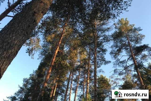 Участок ИЖС 25 сот. на продажу в Зеленогорске Ленинградской области Зеленогорск - изображение 1