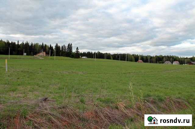 Участок ИЖС 40 сот. на продажу в Вахрушах Вахруши - изображение 1