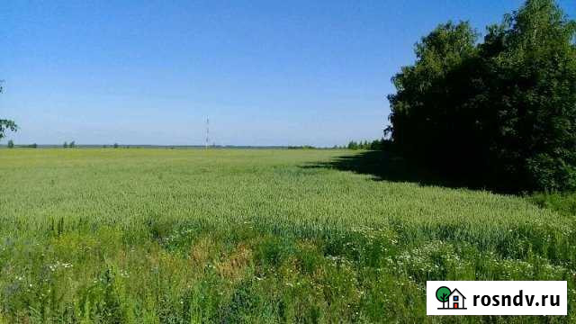 Участок СНТ, ДНП 980 сот. на продажу в Воронеже Воронеж - изображение 1