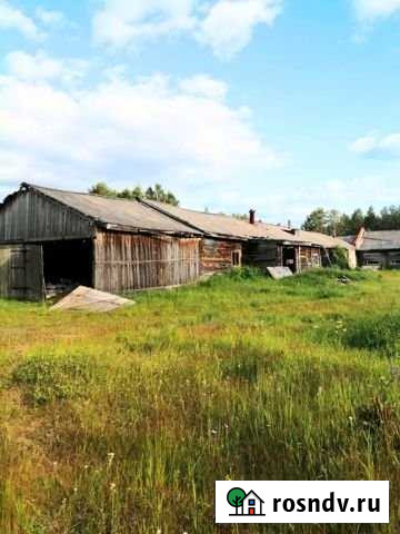 Участок СНТ, ДНП 126 сот. на продажу в Выльгорте Выльгорт - изображение 1