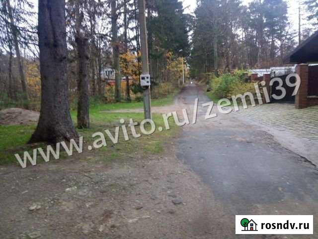 Участок ИЖС 200 сот. на продажу в Светлогорске Светлогорск - изображение 1