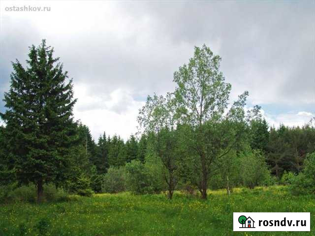 Участок СНТ, ДНП 215 сот. на продажу в Верее Верея - изображение 1