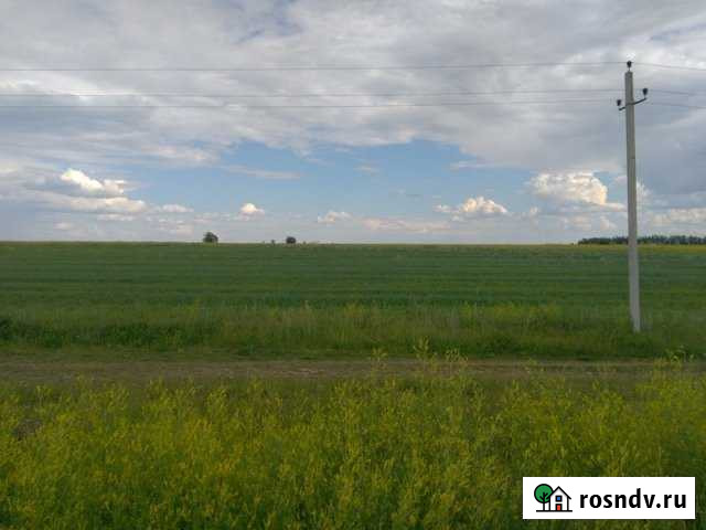 Участок СНТ, ДНП 215 сот. на продажу в Чебоксарах Чебоксары - изображение 1