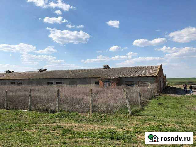 Коровник/Свинарник/Телятник, 1836 кв.м. Тацинская - изображение 1