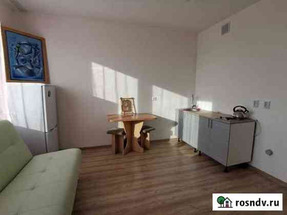 Квартира-студия, 31 м², 8/16 эт. в аренду на длительный срок в Екатеринбурге Екатеринбург