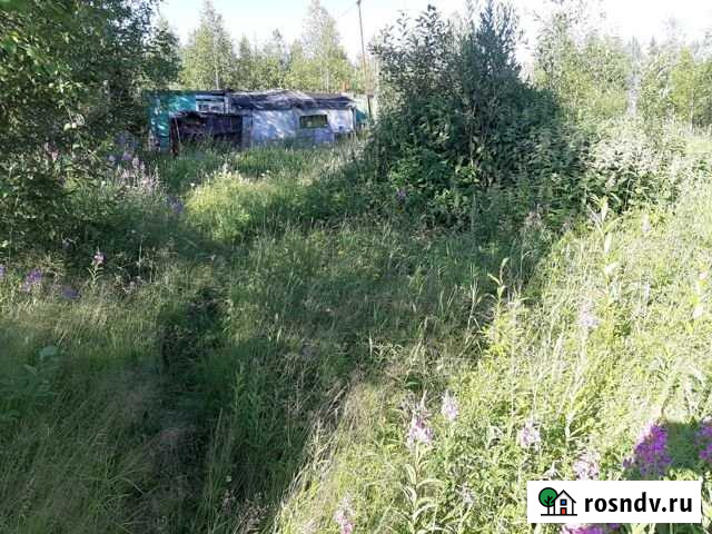 Дача 40 м² на участке 18 сот. на продажу в Усинске Усинск - изображение 1