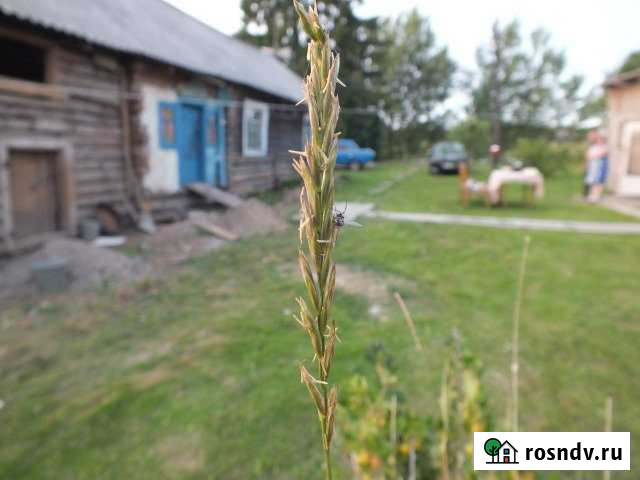 Участок ИЖС 16 сот. на продажу в Ильинском Республики Карелия Ильинский - изображение 1