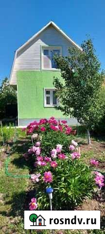 Участок СНТ, ДНП 9 сот. на продажу в Первомайском Челябинской области Первомайский - изображение 1