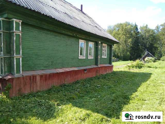 Дом 50 м² на участке 10 сот. на продажу в Городце Городец - изображение 1