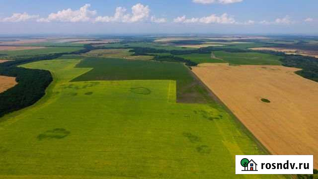 Участок СНТ, ДНП 121100 сот. на продажу в Смоленской Смоленская - изображение 1