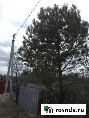 Участок СНТ, ДНП 8 сот. на продажу в Благовещенске Амурской области Благовещенск - изображение 1