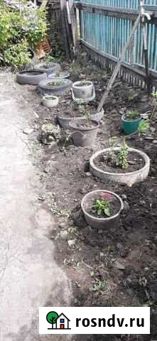 Дом 80 м² на участке 6 сот. на продажу в Омске Омск - изображение 1