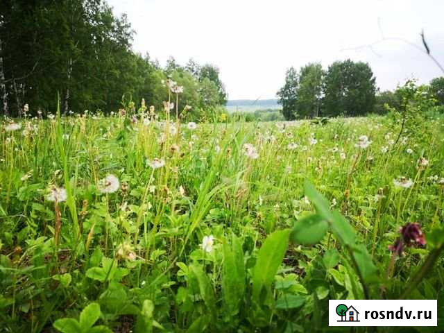 Участок СНТ, ДНП 40 сот. на продажу в Кемерово Кемерово - изображение 1