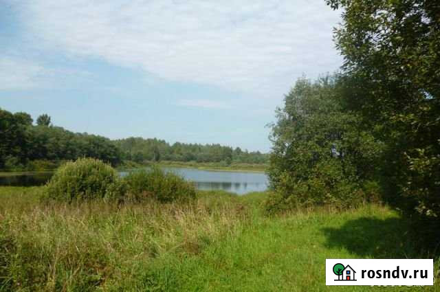 Участок СНТ, ДНП 2030 сот. на продажу в Великих Луках Великие Луки - изображение 1