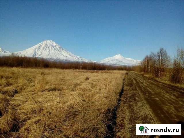 Участок СНТ, ДНП 200 сот. в аренду в Елизово Елизово - изображение 1