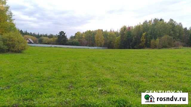 Участок СНТ, ДНП 340 сот. на продажу в Щелкуне Щелкун - изображение 1