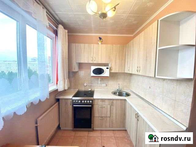 1-комнатная квартира, 28.6 м², 10/16 эт. на продажу в Санкт-Петербурге Санкт-Петербург - изображение 1