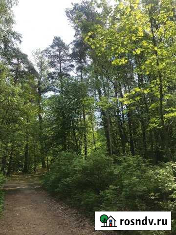 Участок ИЖС 70 сот. на продажу в Сестрорецке Сестрорецк - изображение 1