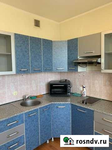 1-комнатная квартира, 43 м², 13/16 эт. в аренду на длительный срок в Новосибирске Новосибирск - изображение 1