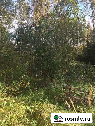 Участок СНТ, ДНП 6 сот. на продажу в Киришах Кириши - изображение 1