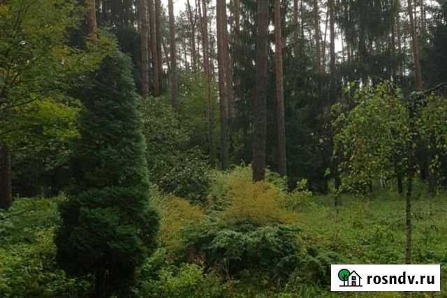 Участок ИЖС 40 сот. на продажу в Зеленогорске Ленинградской области Зеленогорск - изображение 1