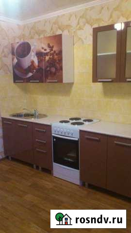 1-комнатная квартира, 42 м², 13/17 эт. в аренду на длительный срок в Воронеже Воронеж - изображение 1