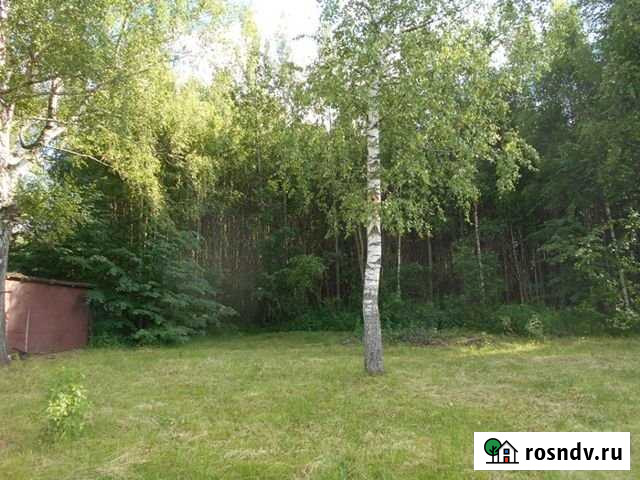 Участок ИЖС 10 сот. на продажу в Бору Бор - изображение 1