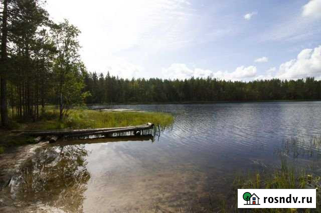 Участок СНТ, ДНП 10 сот. на продажу в Сосново Сосново - изображение 1