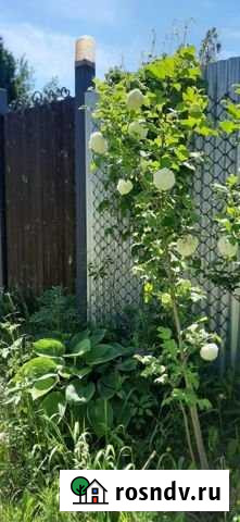 Дача 45 м² на участке 7.5 сот. на продажу в Деденево Деденево - изображение 1