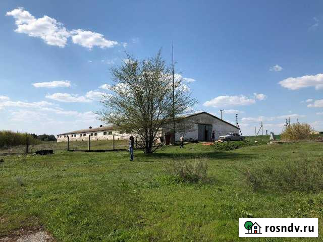 Коровник/Свинарник/Телятник, 1697 кв.м. Тацинская - изображение 1