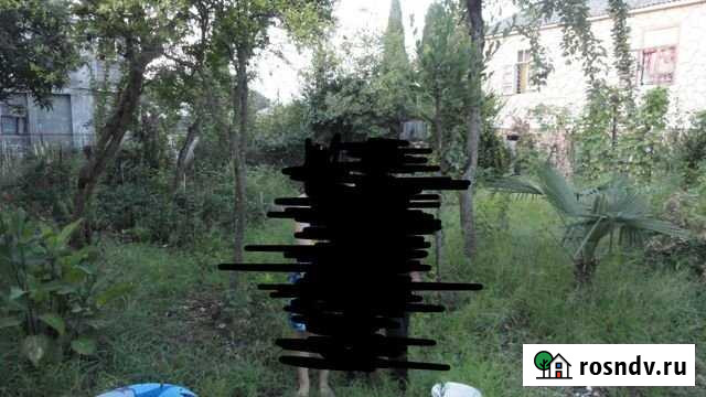 Участок ИЖС 6 сот. на продажу в Теберде Теберда - изображение 1