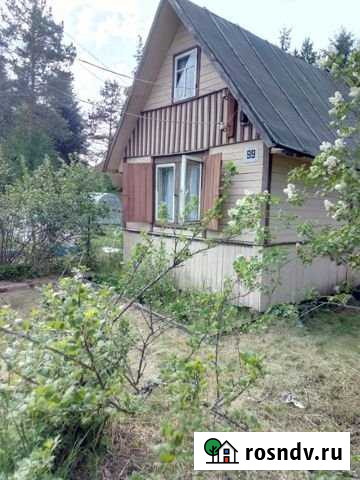 Дача 60 м² на участке 12 сот. на продажу в Толмачево Ленинградской области Толмачево - изображение 1