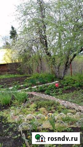 Участок СНТ, ДНП 5 сот. на продажу в Перми Пермь - изображение 1