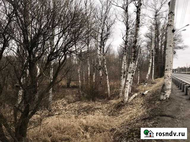 Участок ИЖС 47 сот. на продажу в Сестрорецке Сестрорецк - изображение 1