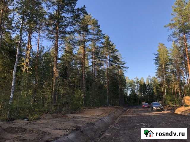Участок СНТ, ДНП 12 сот. на продажу в Санкт-Петербурге Санкт-Петербург - изображение 1