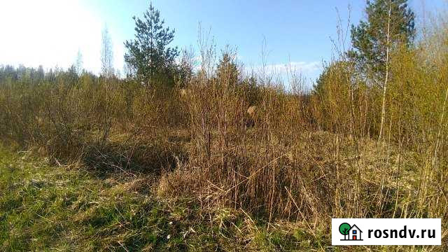 Участок СНТ, ДНП 10 сот. на продажу в Сиверском Сиверский - изображение 1