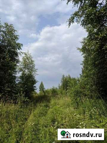 Участок СНТ, ДНП 26 сот. на продажу во Всеволожске Всеволожск - изображение 1