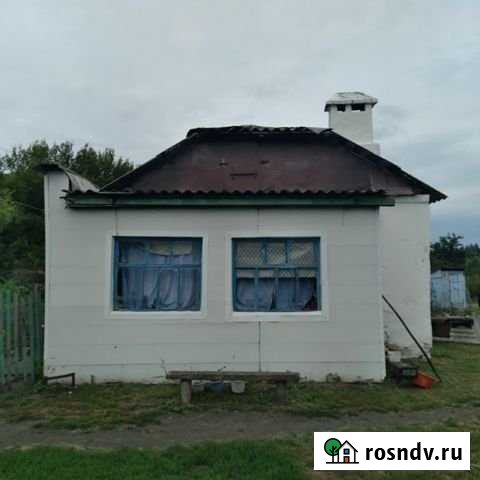 Дом 48 м² на участке 30 сот. на продажу в Плавице Плавица - изображение 1