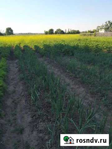 Участок ИЖС 15 сот. на продажу в Лотошино Лотошино - изображение 1