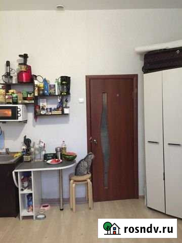 Квартира-студия, 18 м², 1/5 эт. на продажу в Арзамасе Арзамас - изображение 1