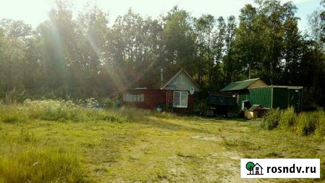 Участок СНТ, ДНП 10 сот. на продажу в Санкт-Петербурге Санкт-Петербург - изображение 1