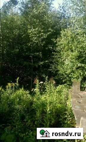 Участок ИЖС 10 сот. на продажу в Куровском Куровское - изображение 1