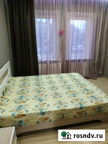 1-комнатная квартира, 38 м², 2/7 эт. в аренду посуточно в Пушкине Пушкин - изображение 1