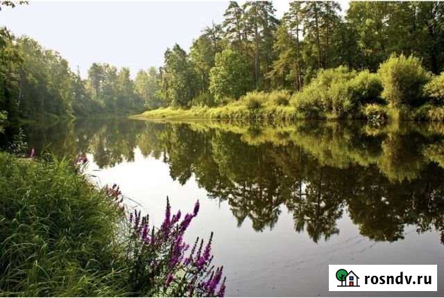 Участок ИЖС 5 сот. на продажу в Семенове Семенов - изображение 1