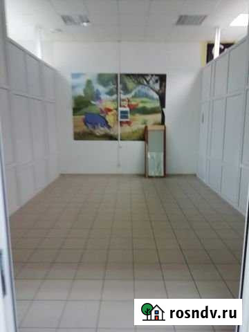 Торговое помещение № 206, 24.5 кв.м. Озёры - изображение 1